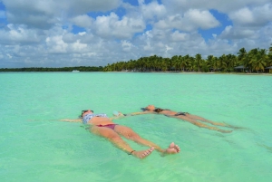 プンタ カナ: ブルー ラグーンとランチ付きのサオナ島日帰り旅行