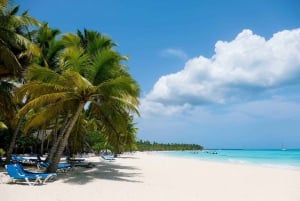 From Punta Cana: Saona Island Day Trip with Buffet Lunch