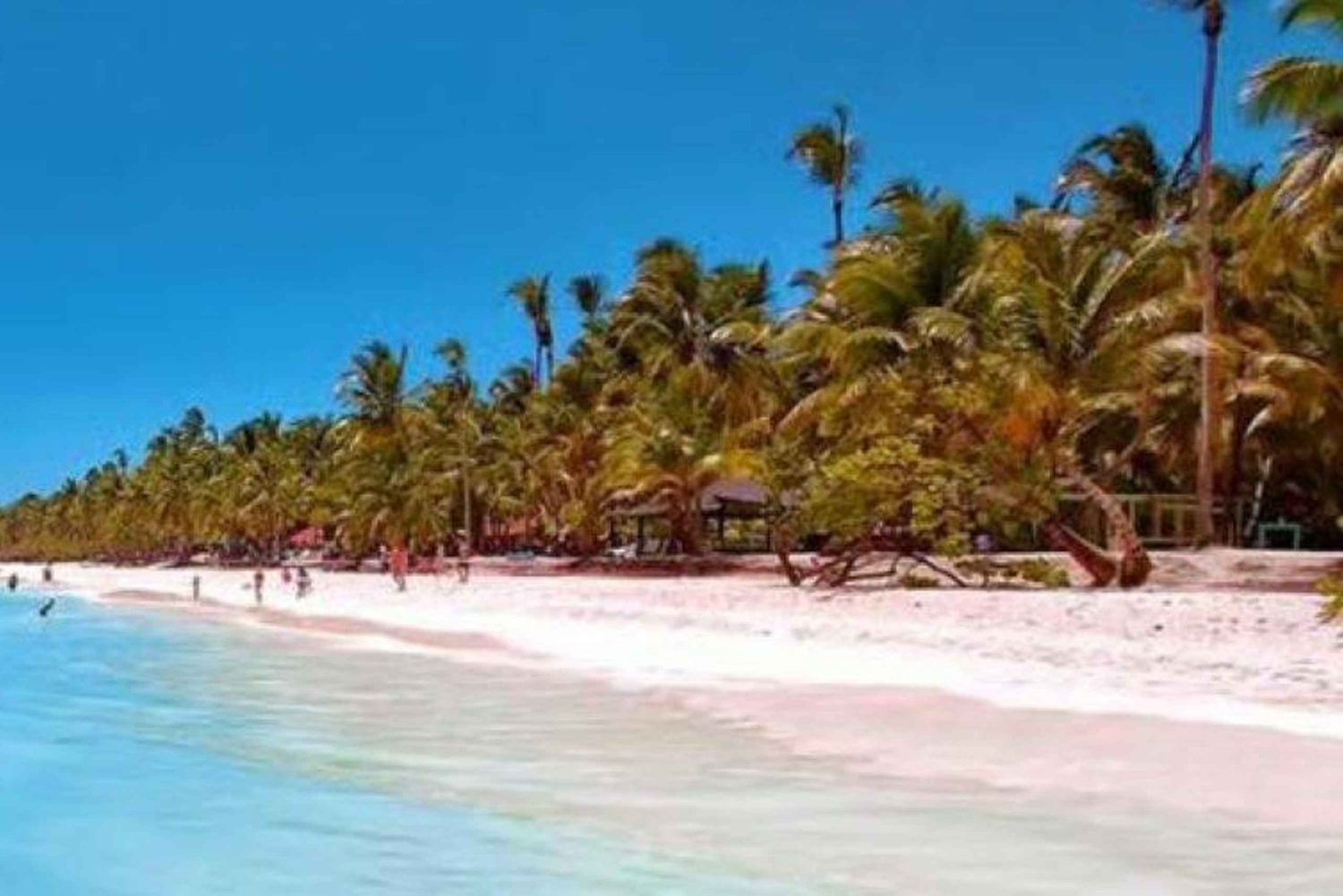 Punta Cana: Dagstur til Saona-øen med hummerfrokost