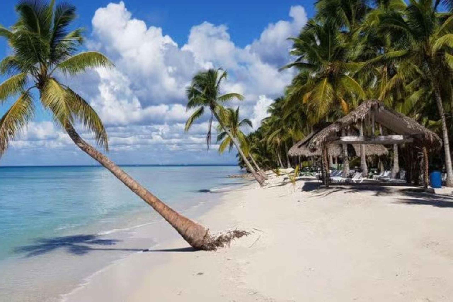Punta Cana: Dagstur til Saona-øen med hummerfrokost