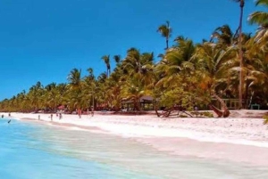 Punta Cana: Dagstur til Saona-øen med hummerfrokost