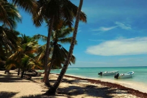 Punta Cana: Dagstur til Saona-øen med hummerfrokost