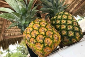 Punta Cana: Dagstur til Saona-øen med hummerfrokost