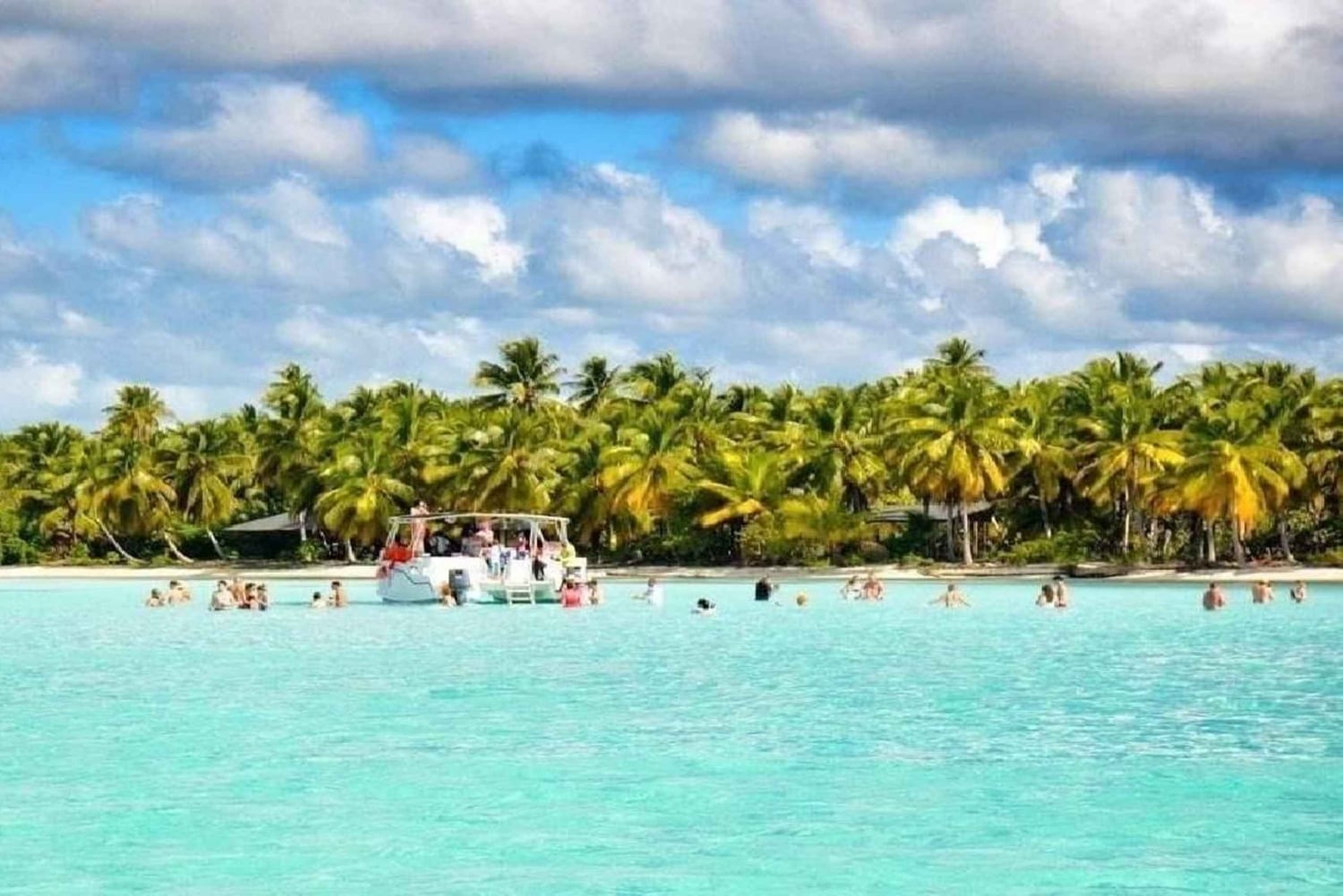 Punta Cana: Dagstur til Saona Island med lunsj og drikke