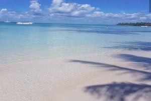 Punta Cana: Dagstur til Saona Island med lunsj og drikke