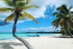 Punta Cana: Dagstur til Saona Island med lunsj og drikke