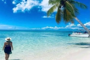 Punta Cana: Dagstur til Saona Island med lunsj og drikke