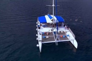 Punta Cana: Viagem de um dia à Ilha Saona com almoço e bebidas