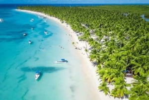 Punta Cana: Saona Island Day Trip with Lunch & Open Bar