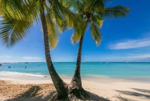 Punta Cana: Saona Island Day Trip with Lunch & Open Bar