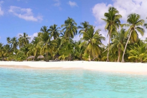 Punta Cana: Saona Island Dagsutflykt med öppen bar och lunch