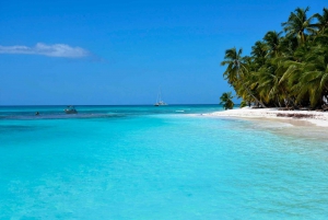 Punta Cana: Saona Island Dagsutflykt med öppen bar och lunch