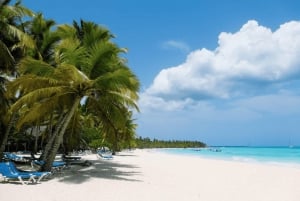 Punta Cana: Tagestour zur Insel Saona mit Tickets und Mittagessen