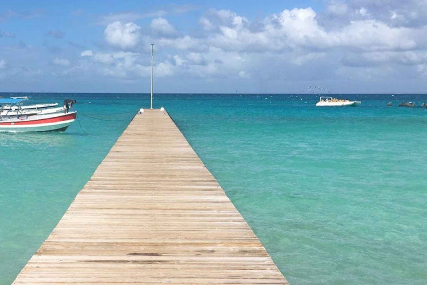 Punta Cana: Viagem de 1 dia à Ilha Saona com opção VIP