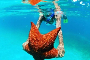 Punta Cana: Saona Island Day Trip with VIP Option