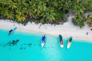 プンタ カナ: VIP オプション付きサオナ島日帰り旅行