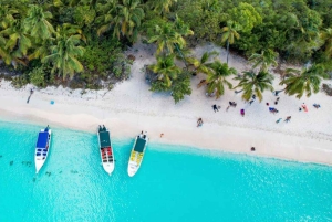 Punta Cana: Viagem de 1 dia à Ilha Saona com opção VIP