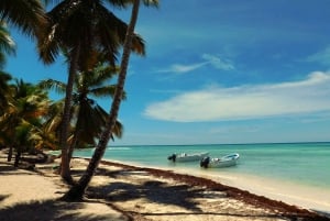 Punta Cana: Saona Island Day Trip