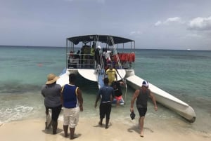 Punta Cana: Saona Island Day Trip