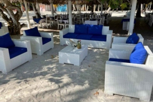 Punta Cana: Giornata sull'isola di Saona con catamarano, pranzo e spiagge vergini