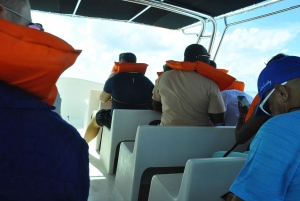 Punta Cana: Giornata sull'isola di Saona con catamarano, pranzo e spiagge vergini