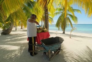 Punta Cana: Saona Island for små grupper Katamaran Open Bar