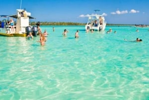 Punta Cana: Saona Island for small group in catamaran