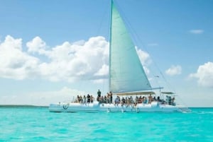 Punta Cana: Isla Saona Para Grupos Pequeños Recogida Hotel