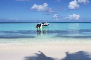 Punta Cana: Saona Island Full-Day Group Tour