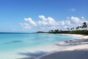 Punta Cana: Saona Island Full-Day Group Tour