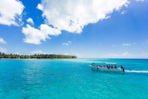 Punta Cana: Saona Island Full-Day Open Bar, Lunch & Transfer
