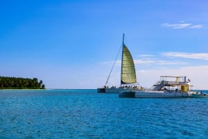 Punta Cana: Katamaranbåt till ön Saona med lunchbuffé