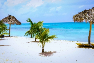 Punta Cana: Katamaranbåt till ön Saona med lunchbuffé