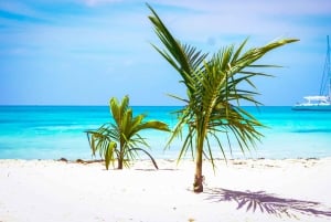 Punta Cana: Katamaranbåt till ön Saona med lunchbuffé