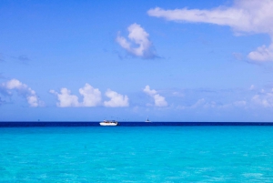 Punta Cana: Katamaranbåt till ön Saona med lunchbuffé
