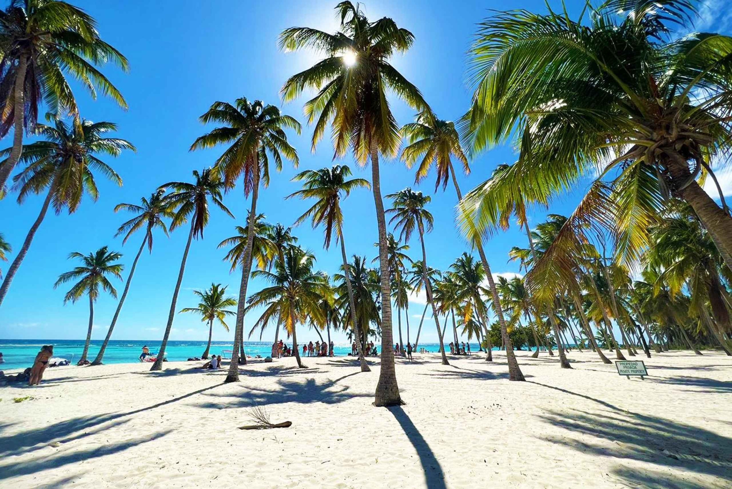 プンタ・カナ：サオナ島プレミアム 3ビーチ