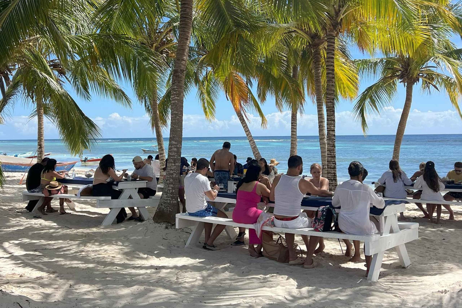 プンタ・カナ：サオナ島プレミアム 3ビーチ