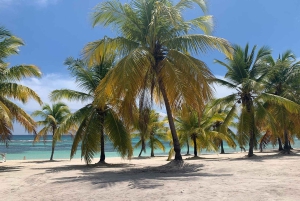 プンタ・カナ：サオナ島プレミアム 3ビーチ