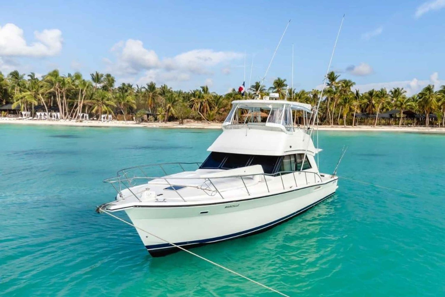 Punta Cana: Saona Island Private Yacht Tour with Snorkeling