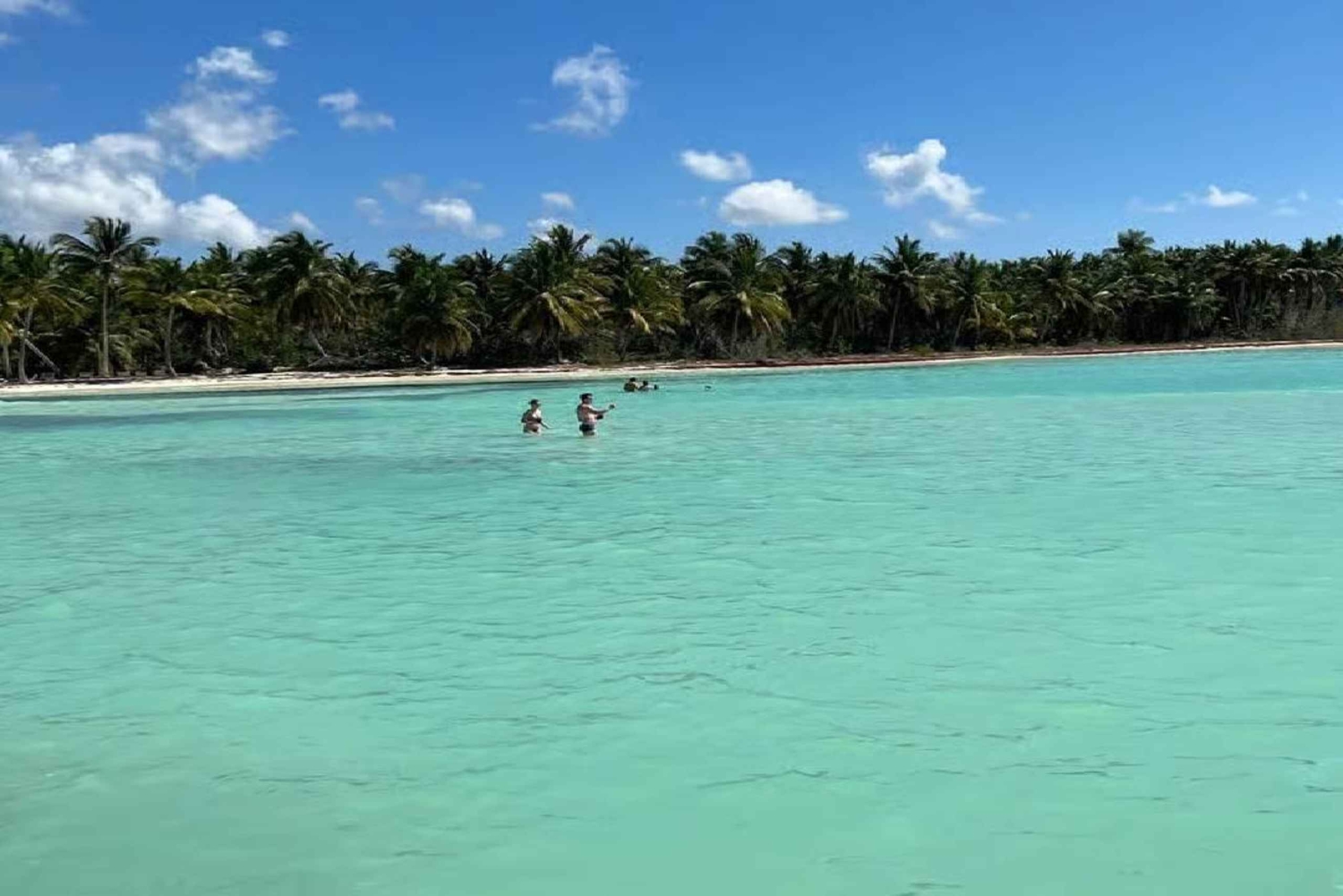 Punta Cana: Saona Island Speedboat Tour with Lunch