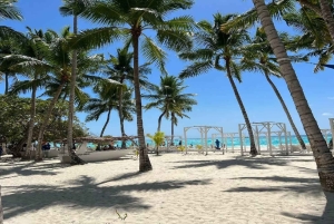 Punta Cana: Saona Island Speedboat Tour with Lunch