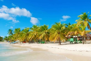 Punta Cana: Saona Island Speedboat Tour with Lunch