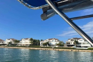 Punta Cana: Saona Island Speedboat Tour with Lunch