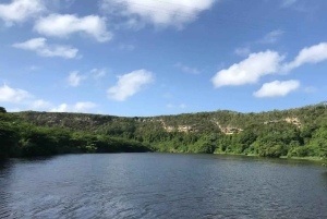 Punta Cana: Saona Island Speedboat Tour with Lunch