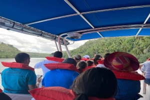 Punta Cana: Saona Island Speedboat Tour with Lunch