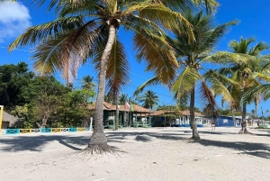 Punta Cana: Saona Island Speedboat Tour with Lunch