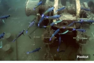 Punta Cana: Saona Island Submarine Dominikanska Titanic på Saona Island.