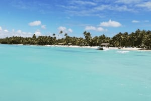Punta Cana: Wycieczka na wyspę Saona, posiłek na katamaranie i otwarty bar