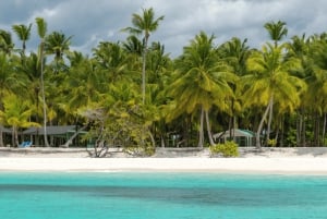 Punta Cana: Wycieczka na wyspę Saona, posiłek na katamaranie i otwarty bar