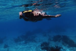 Punta Cana: Wycieczka na wyspę Saona, posiłek na katamaranie i otwarty bar